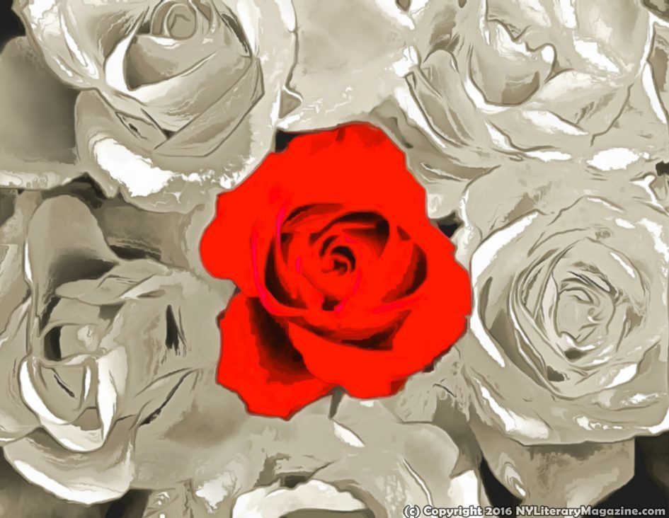 Rose Alone Artwork