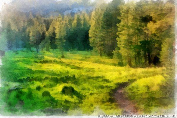 Summer Forest Nature Painting