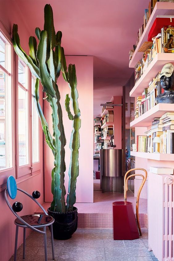 Millenial Pink Library
