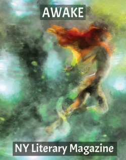 NY Literary Magazine AWAKE Best Contemporary Poetry Anthology Digital Magazine